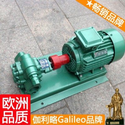 yhb齿轮泵 高压齿轮泵gpy 化工齿轮泵 唐图1
