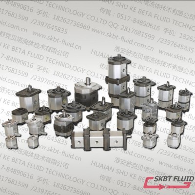 SKBTFLUID供应CBY3063系列齿轮泵，钻机用齿轮泵图1