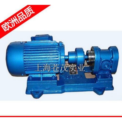 微型不锈钢齿轮泵 微型齿轮泵 KCB63