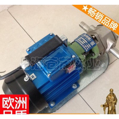 高压齿轮泵微型 wcb齿轮式输油泵 齿