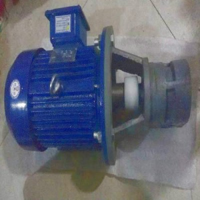 厂家**HY01-5×10齿轮泵电机组图片
