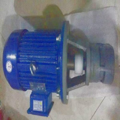 厂家批发HY01-8×25齿轮泵电机组图