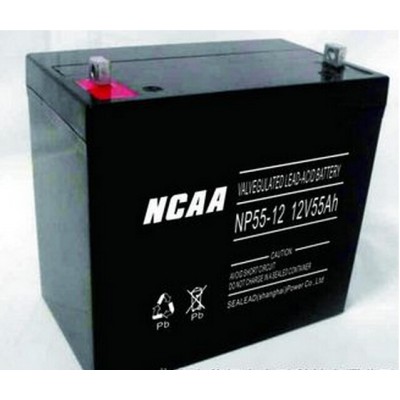 NCAA蓄电池NP20-12/12V20AH 免维护