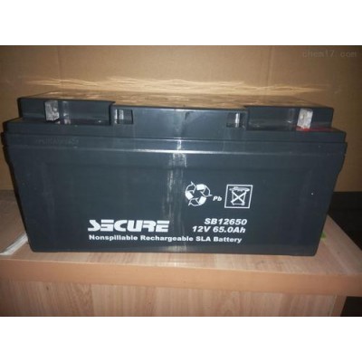 安全SECURE蓄电池SB12200/12V20AH 