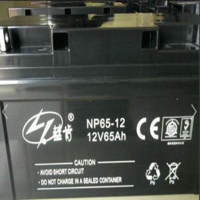 蓝肯蓄电池NP100-12 蓝肯蓄电池12V1