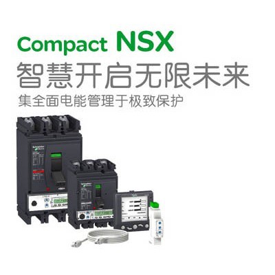 Schneider/施耐德低压断路器  NSX100 热磁式 固定式 3P 塑壳配电保护图1