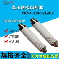 红高电气(SDLAJ)XRNT-12KV50A63A80A100A 高压熔断器 高压限流熔断器