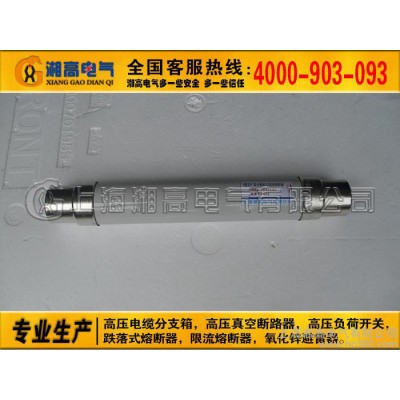 XRNT1-12/10A 20A 50A80A高压熔断器