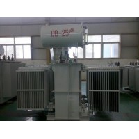 蒲城S11-1000KVA/35kv油浸式变压器和干式变压器区别