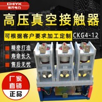 豫开**CKG4-12/630A交流高压真空接触器160A/250A/400A CKG3CKG4高压接触器
