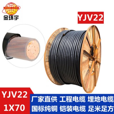 供应金环宇电线电缆 YJV22 1*70 深