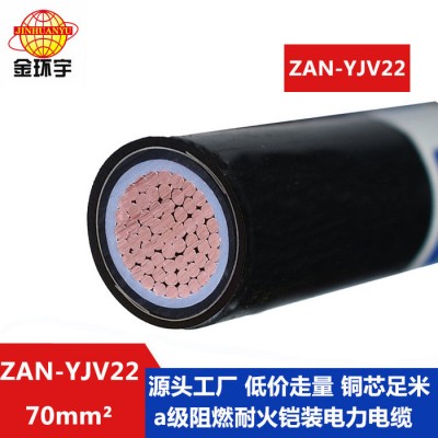 金环宇电缆 单芯电力电缆ZAN-YJV22-