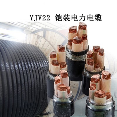 深圳金环宇电线电缆,YJV22电缆4*240