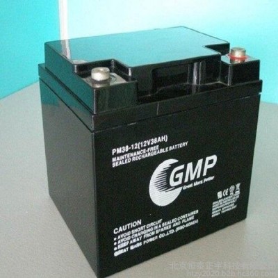 GMP蓄电池PM12-12 12V12AH阀控式铅