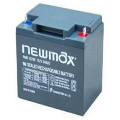 韩国newmax蓄电池PNB12210 12V21AH