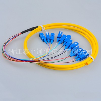 12芯SC束状尾纤,12色SC单模集成尾纤,12芯SC/UPC电信级光纤连接器图1
