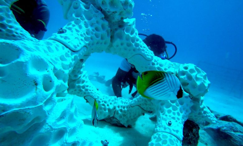 3D打印珊瑚礁