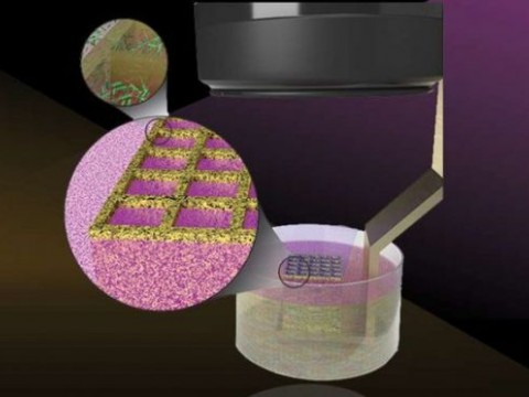 科学家开发出3D打印活微生物的新方法 以增强生物材料