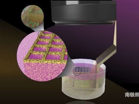 “吃金属渣”的生物材料，LLNL科学家开发出可控3D打印活体微生物的新方法