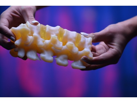 Stratasys和Ricoh USA合作为医疗结构提供3D打印多色解剖模型
