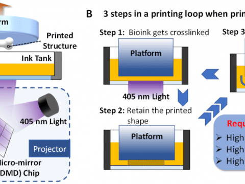 浙江大学：投影式光固化生物3D打印的可打印性