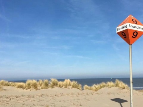 微软助力 BeachBot，致力打造“无污染海岸线”