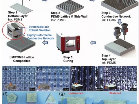 江南大学AFM：双材料3D打印技术实现液态金属/弹性体网格导电复合材料的有序组装