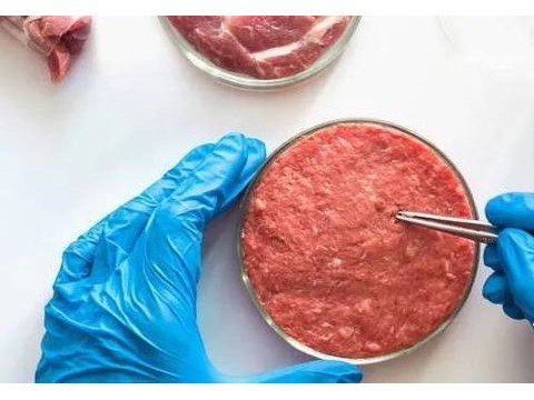 《食品科学》：食品3D打印技术及其在肉类加工中应用的研究进展