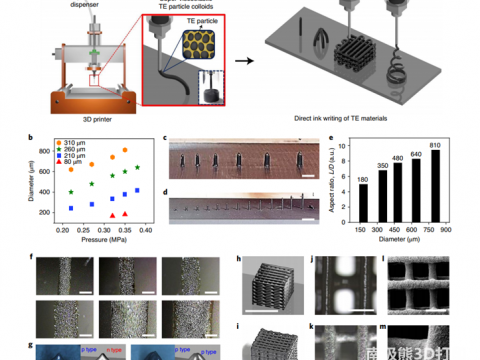 Nature Electronics：3D热电微结构的墨水直写3D打印