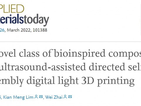 新加坡国立大学：新型超声场辅助DLP 3D打印设计制备超吸能非连续互穿相复合材料