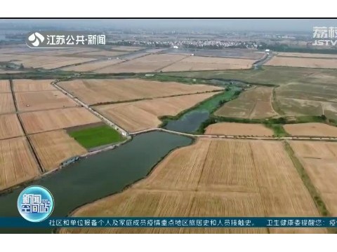 江苏夏收进度超6成 智能装备“管”出小麦高产量
