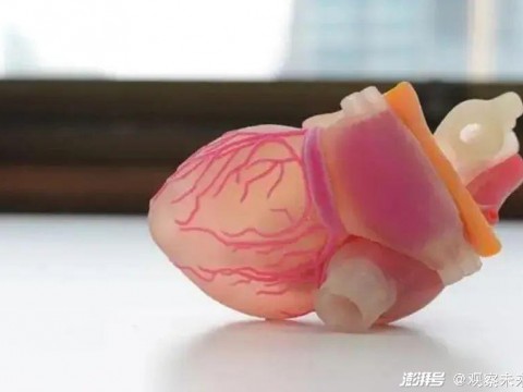 从3D打印到3D器官打印，人类离打印生命还有多远的距离？