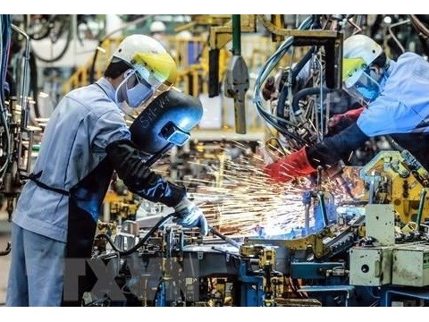 欧洲企业看好越南经济发展前景 越对欧前8个月出口319亿美元