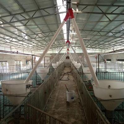 畜牧家畜养殖设备自动喂料料线