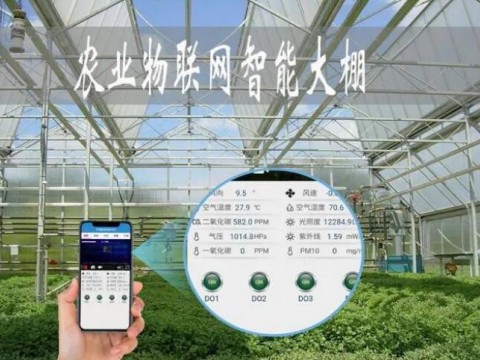 农业物联网，让大棚管理更“智能”，手机进行水肥管理