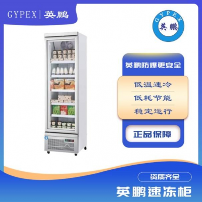 冷冻柜商用冷冻食品展示柜立式冰柜