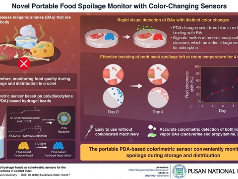 韩国开发出便携式传感器可监测食物变质