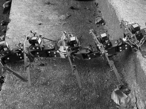美国研制出适应崎岖路面的蜈蚣型机器人