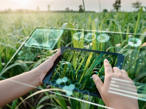 经济日报：人工智能是智慧农业新风口