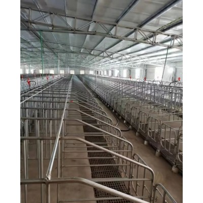 养殖场母猪限位栏及限位栏的优点