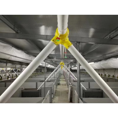 料线安装鸡场自动化喂料系统