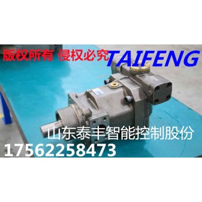 TFA7VO160LR/10-LRB4泰丰智能生产销售液压泵图1
