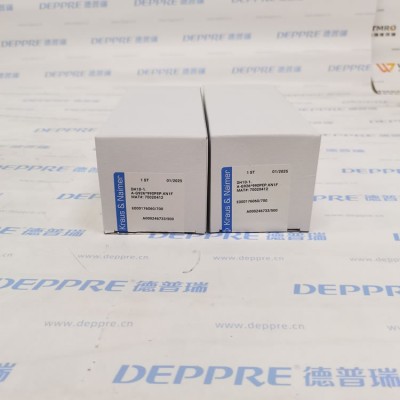 Kraus&Naimer DH10-1.A-G926*990PEP.KN1F旋转开关