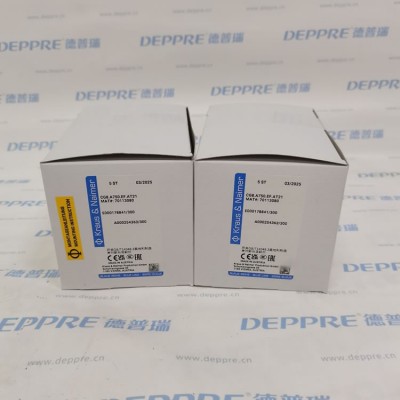 Kraus&Naimer
CG8.A750.EF.AT21凸轮开关