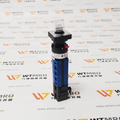 Kraus & Naimer CG4.RID501.*FS2.AT21