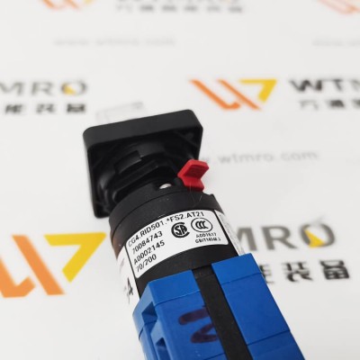 Kraus & Naimer CG4.RID501.*FS2.AT21