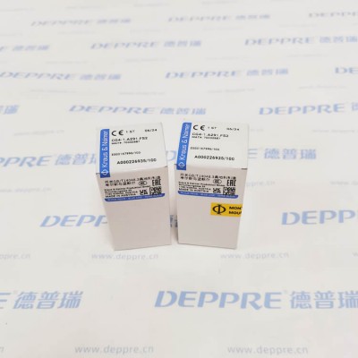 Kraus&Naimer CG4-1.A291.FS2旋钮开关