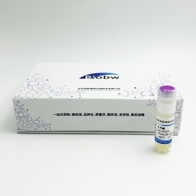 克鲁维毕赤酵母Pichia kluyveri图1