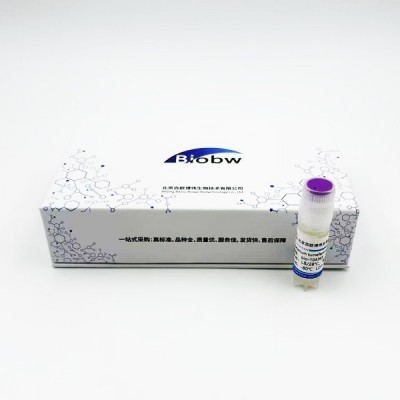 Agrobacterium tumefaciens KYC 55BIOBW菌种查询图1