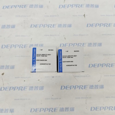 ​Kraus&Naimer CA10.S-4N99.FT2.SE21凸轮开关